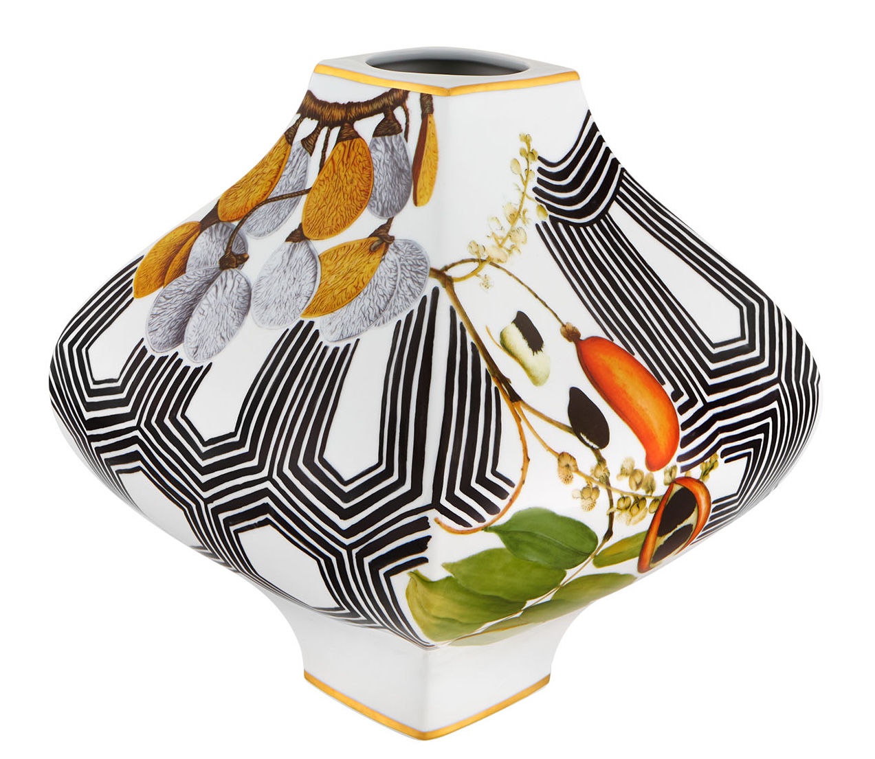 0042744_es-amazonia-jarra-sementes